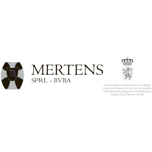 Site web - template (8)